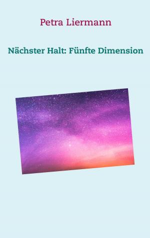 Cover of the book Nächster Halt: Fünfte Dimension by Boris Ludz