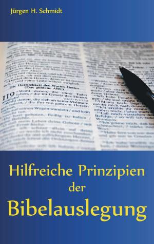 Cover of the book Hilfreiche Prinzipien der Bibelauslegung by Jonas Nann