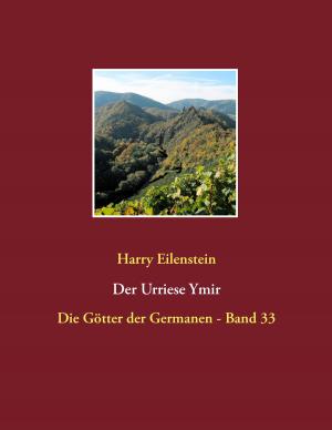 Cover of the book Der Urriese Ymir by Ayleen Scheffler-Hadenfeldt