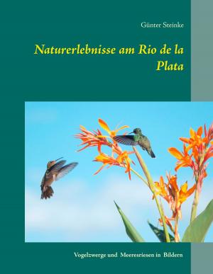 Cover of the book Naturerlebnisse am Rio de la Plata by Albert Ebstein