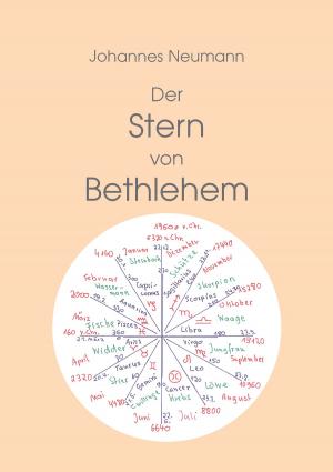 Cover of the book Der Stern von Bethlehem by Theo von Taane