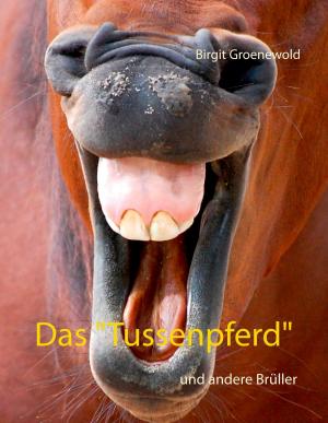 Cover of the book Das "Tussenpferd" by Martin Westenberger