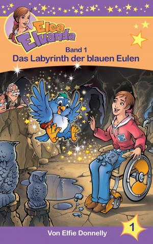 Cover of the book Das Labyrinth der blauen Eulen by Sandy Davis  Kirk