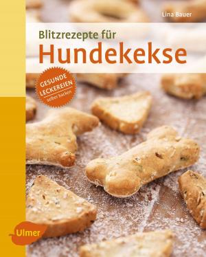 Cover of the book Blitzrezepte für Hundekekse by Wolfgang Kawollek