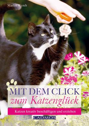 Book cover of Mit dem Click zum Katzenglück