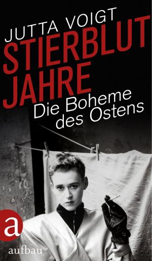 Cover of the book Stierblutjahre by Friedrich Schorlemmer