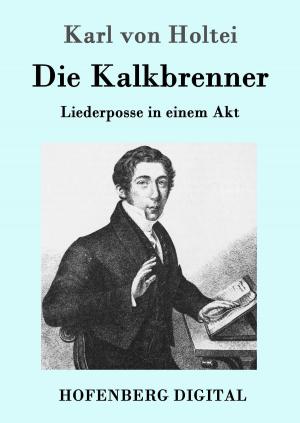 Cover of the book Die Kalkbrenner by Wilhelm Hauff