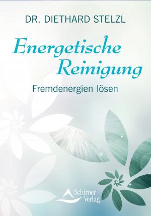Cover of the book Energetische Reinigung by Hilda Nowotny