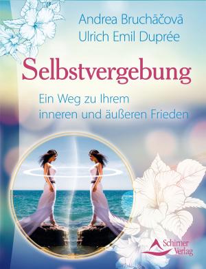 Cover of the book Selbstvergebung by Lisa Biritz
