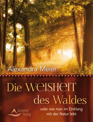 Cover of the book Die Weisheit des Waldes by Matthew Martin