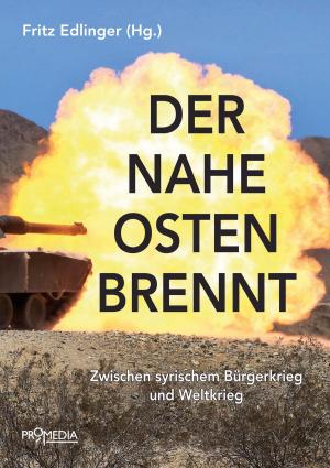 Cover of the book Der Nahe Osten brennt by Nikos Chilas, Winfried Wolf