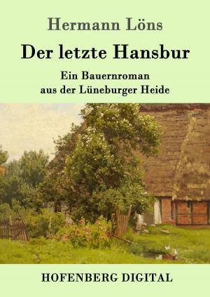 Cover of the book Der letzte Hansbur by Heinrich Seidel