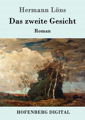 Cover of the book Das zweite Gesicht by Franz Hessel