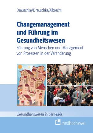 Cover of the book Changemanagement und Führung im Gesundheitswesen by Lutz Frankenstein, Tobias Täger, Martin Andrassy