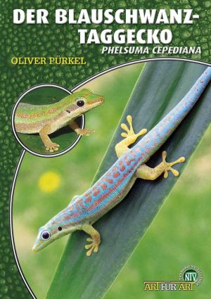 Cover of Der Blauschwanz-Taggecko