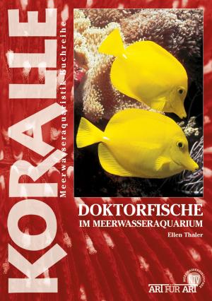 Book cover of Doktorfische im Meerwasseraquarium