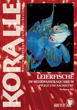 Book cover of Leierfische im Meerwasseraquarium