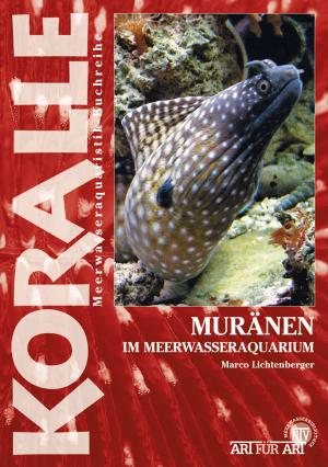 Book cover of Muränen im Meerwasseraquarium