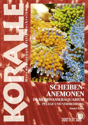 Cover of Scheibenanemonen im Meerwasseraquarium