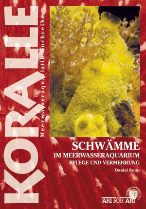 Cover of Schwämme im Meerwasseraquarium