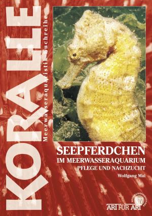 Book cover of Seepferdchen im Meerwasseraquarium