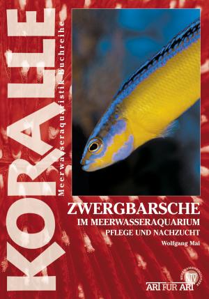 Book cover of Zwergbarsche im Meerwasseraquarium