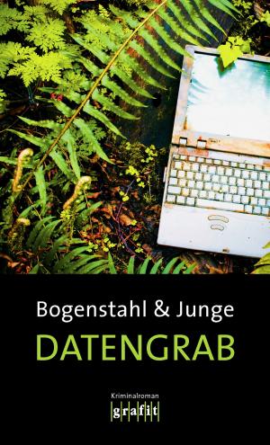 Book cover of Datengrab