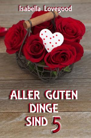 Cover of the book Aller guten Dinge sind 5 by Lucy Paige