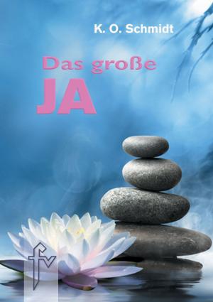 Cover of the book Das große JA by 李建軍