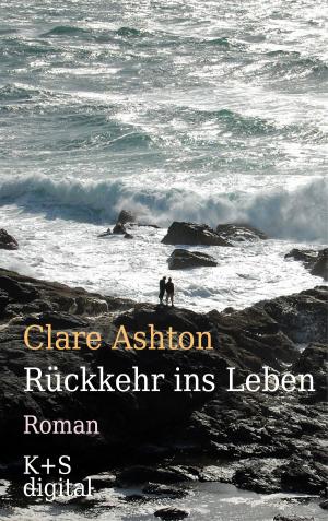Cover of the book Rückkehr ins Leben by Rebecca Fett