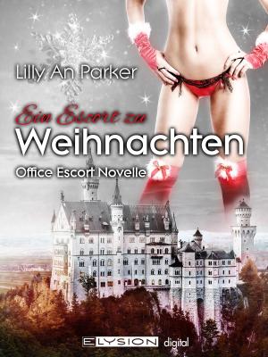 Cover of the book Ein Escort zu Weihnachten by Sira Rabe