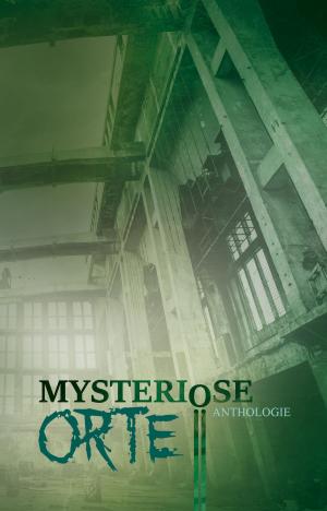 Book cover of Mysteriöse Orte