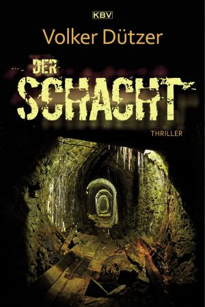 Cover of the book Der Schacht by Silvia Kaffke