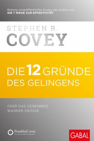 Cover of the book Die 12 Gründe des Gelingens by Stefan Frädrich