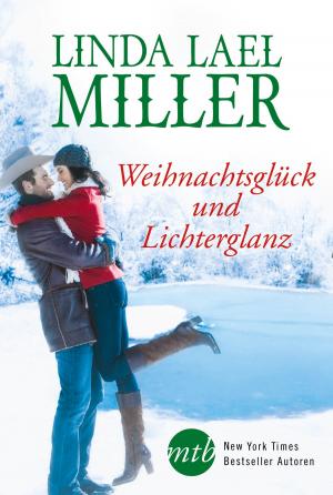 Cover of the book Weihnachtsglück und Lichterglanz by Molly McAdams