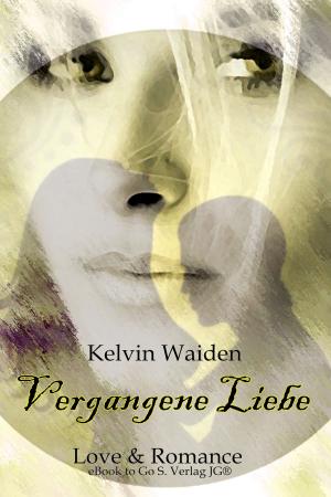 Cover of Vergangene Liebe
