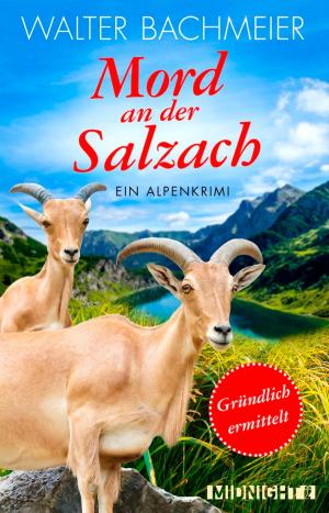 Cover of the book Mord an der Salzach by Daniela Gesing