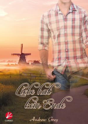 Cover of the book Liebe hat kein Ende by Heidi Cullinan