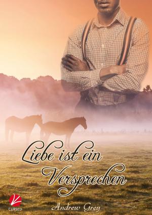 Cover of the book Liebe ist ein Versprechen by Lara Brukz
