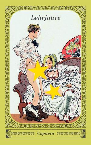 Cover of the book Lehrjahre by Angelika Alvarez