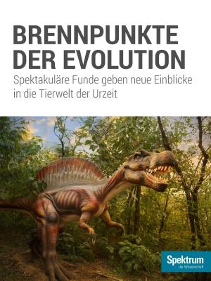 Cover of the book Brennpunkte der Evolution by 