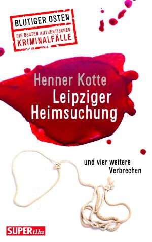 Cover of the book Leipziger Heimsuchung by Wolfgang Schüler