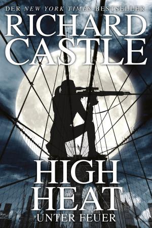 Cover of the book Castle 8: High Heat - Unter Feuer by Mike Johnson, Erfan Fajar