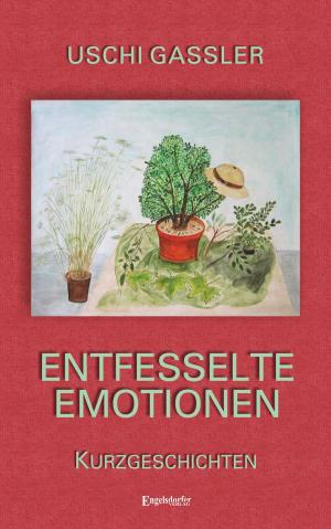 Cover of the book Entfesselte Emotionen by Róbert Hász