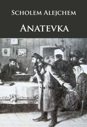Cover of the book Anatevka by Róbert Hász