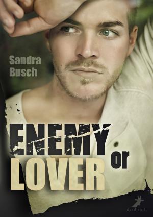 Cover of the book Enemy or Lover by Alex Fiano