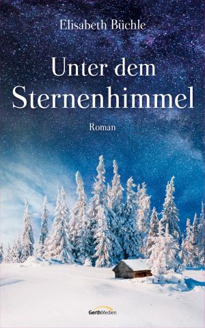 Cover of Unter dem Sternenhimmel