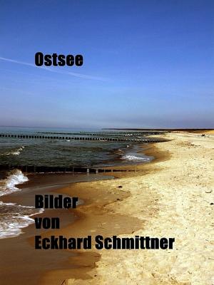 Cover of the book Ostsee by Marion deSanters