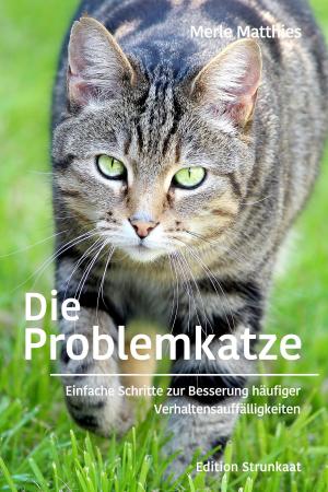 Cover of the book Die Problemkatze by June J McInerney