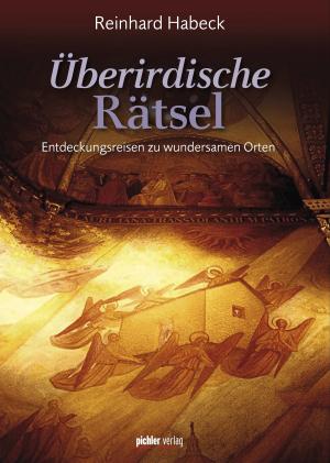 Book cover of Überirdische Rätsel
